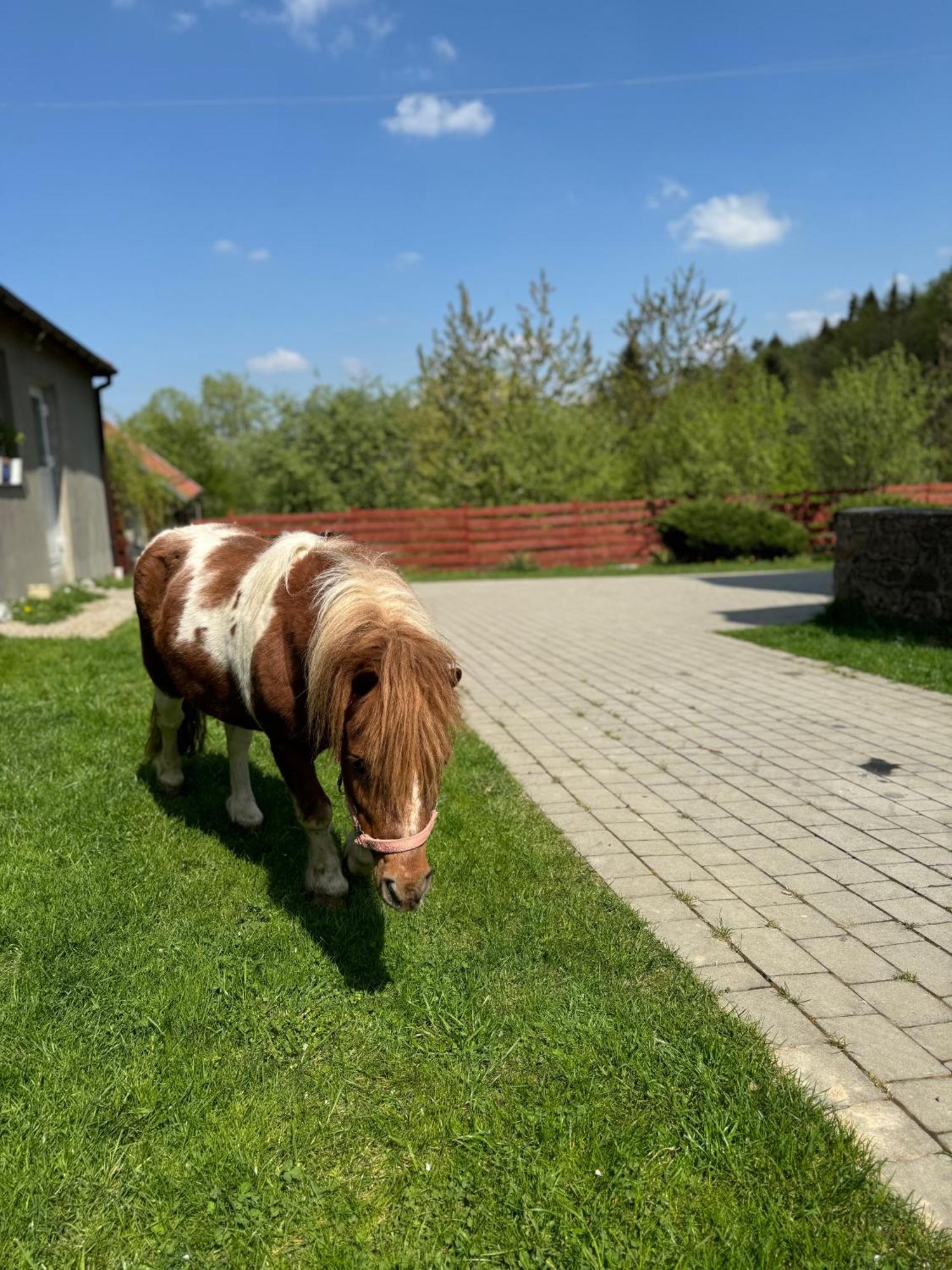 Agroturystyka U Babci Чхув Екстер'єр фото